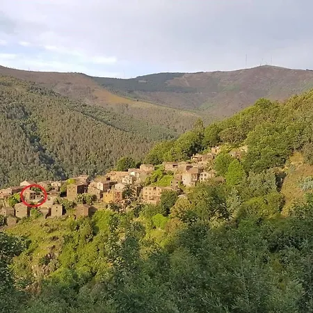 Casa Do Ti Toninho * Coimbra