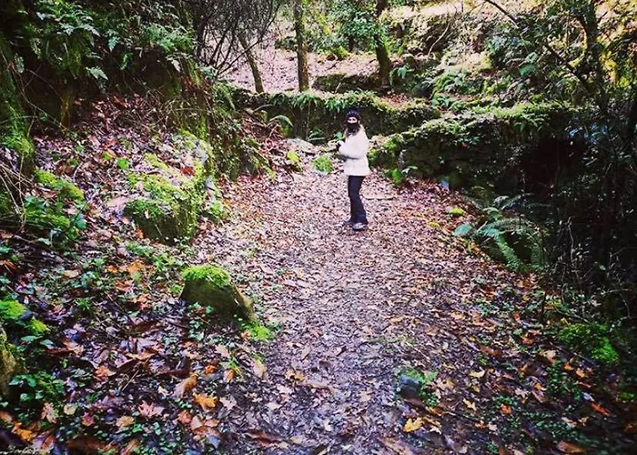 別荘 Casa Do Ti Toninho *