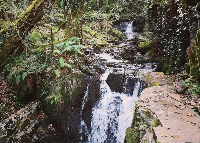 Casa Do Ti Toninho コインブラ